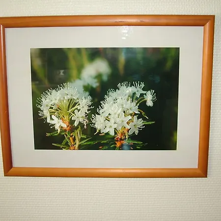 Apartamento Yllaestar 305 *