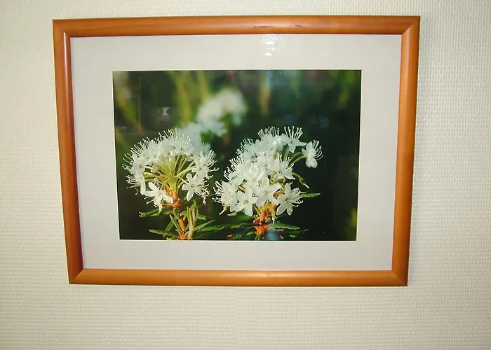 아파트 Yllaestar 305 *